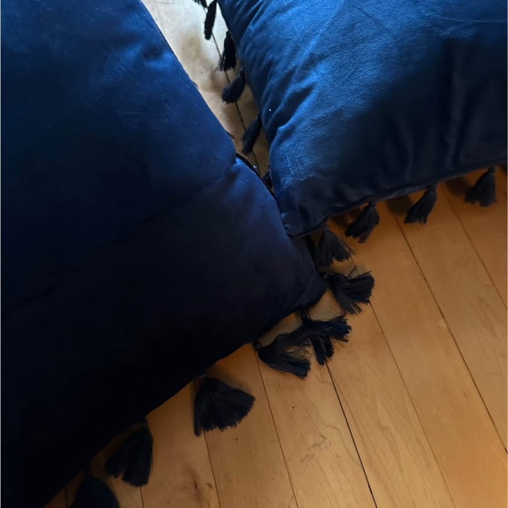 Elegant Blue Tassel Throw Pillow Set - Picture 3 of 3
